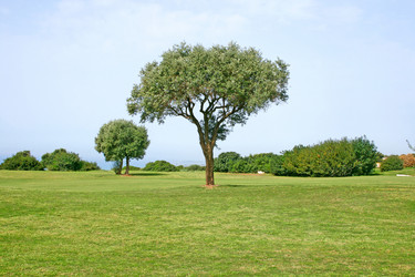 Similar image 259446