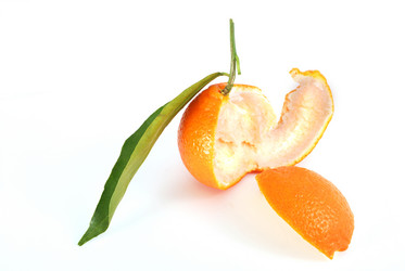 Similar image 259447