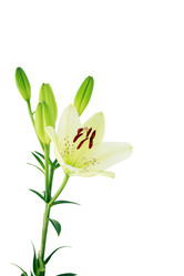 Similar image 259448