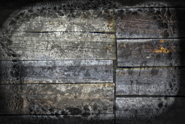 Similar image 259455