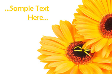 Similar image 259458