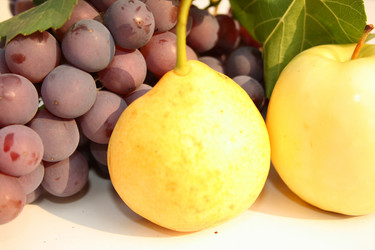 Similar image 259459