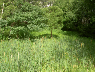 Similar image 259466