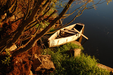 Similar image 259467