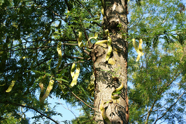 Similar image 259479