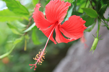 Similar image 259487