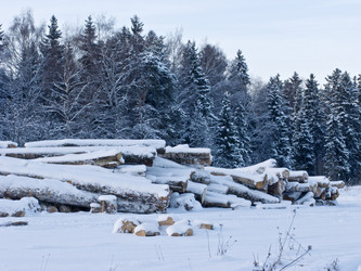 Similar image 259491