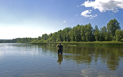 Similar image 259500