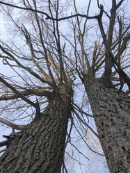 Similar image 259504