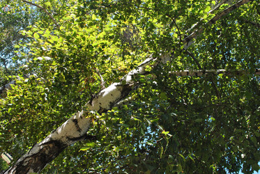 Similar image 259535