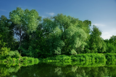 Similar image 259570