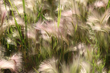 Similar image 259582