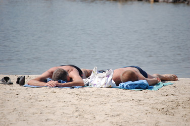 Similar image 259603