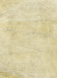 Similar image 259657