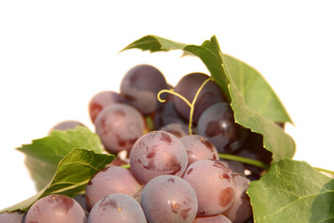 Similar image 259664