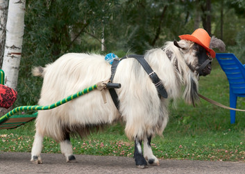 Similar image 259732