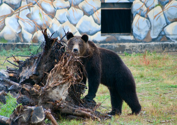 Similar image 259733