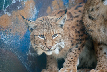 Similar image 259735