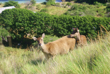 Similar image 259736