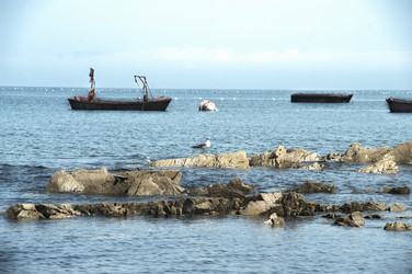 Similar image 259741