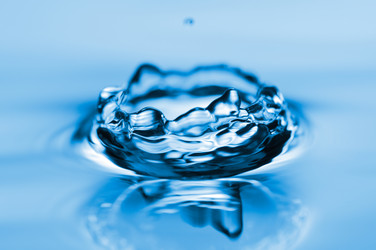 Similar image 259961