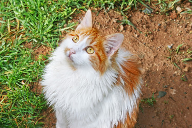 Similar image 259981