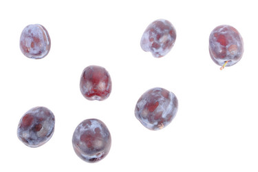 Similar image 260061