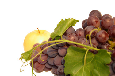 Similar image 260267