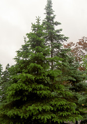 Similar image 260274