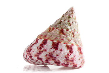 Similar image 260286