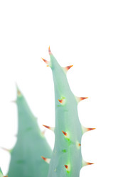 Similar image 260313