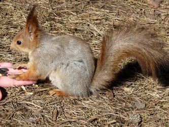 Similar image 260337