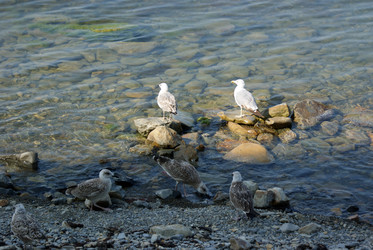 Similar image 260376