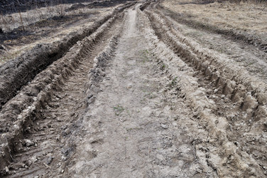 Similar image 260390