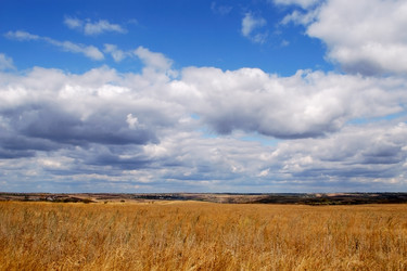 Similar image 260393