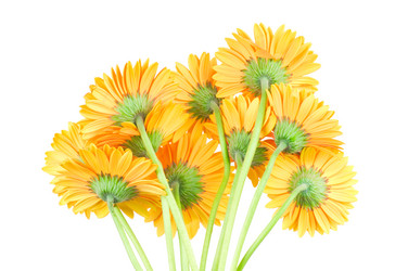 Similar image 260453