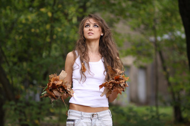 Similar image 260600