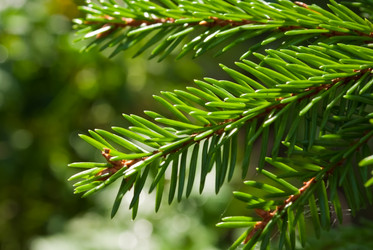 Similar image 260736