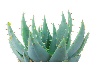 Similar image 260789