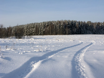 Similar image 260794