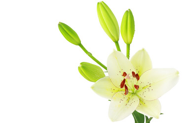 Similar image 260867