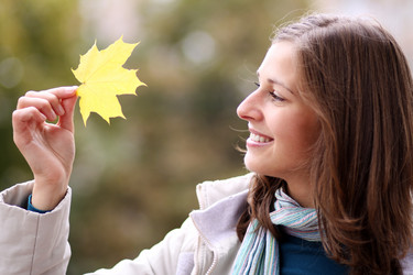 Similar image 261074