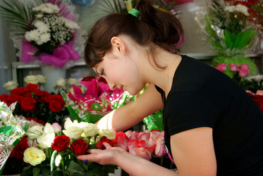 Similar image 261588