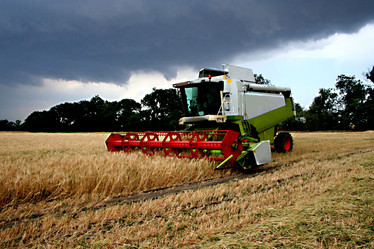 Similar image 261595