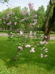 Similar image 261694