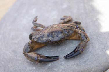 Similar image 261840