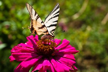 Similar image 261843