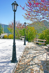 Similar image 261850