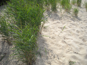 Similar image 261910