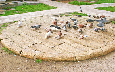 Similar image 261971